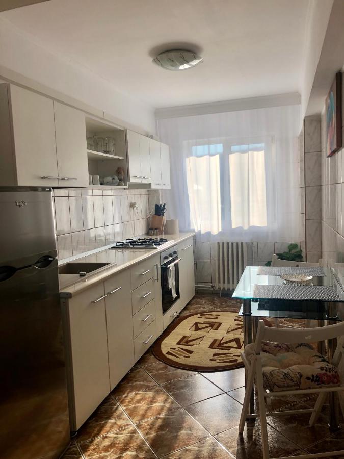 Ana-Maria Home Рымнику-Вылча Экстерьер фото