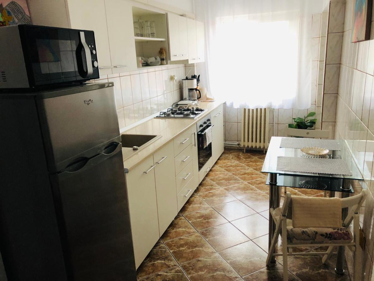 Ana-Maria Home Рымнику-Вылча Экстерьер фото
